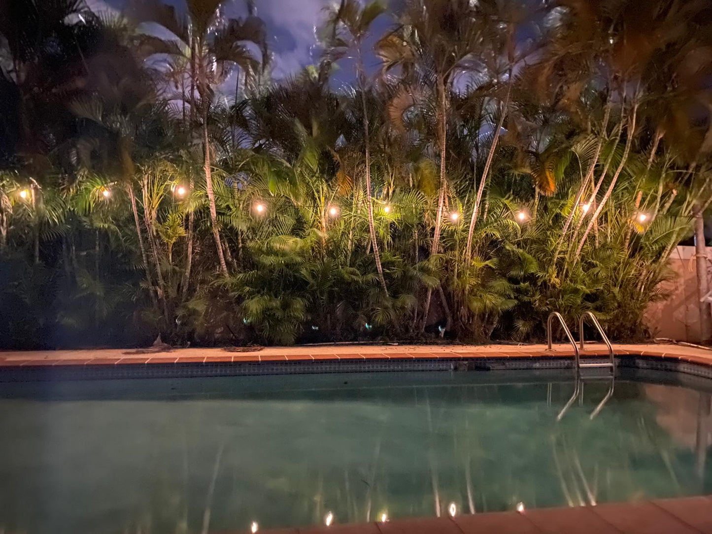 Solar String Lights 50ft